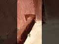 Тест универсальных ключей. Тестированием 6 части.