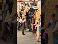 thrissur pooram time elephant s is so 🥰🥰...i really loveit