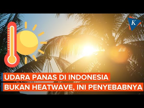 Udara Panas di Indonesia Bukan Gelombang Panas Seperti di Thailand, BMKG Jelaskan Penyebabnya