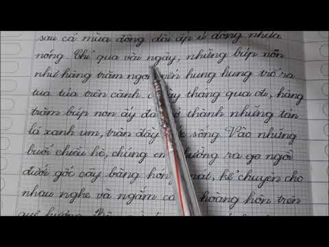 Video Tả cây bàng cực hay. Văn 4 5 - youtube