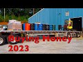 Buying Spring Honey 2023