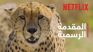 عالم الحيوان المدهش | المقدمة الرسمية | Netflix