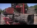 Fallen Trees to Finished Lumber Fallen Trees to Finished Lumber