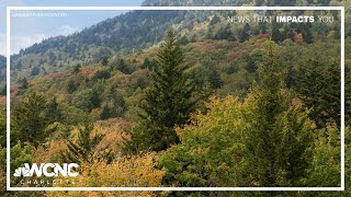 Why do leaves change color in the fall?