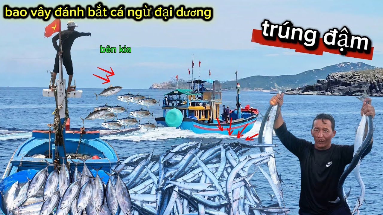 Trải nghiệm vây bắt cá ngừ giữ đại dương chia sẽ cuộc sống ngư dân trên biển | thuận sanh tv