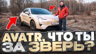 видео: Что ты за зверь такой Аватар? Подробный тест-драйв электромобиля Avatr 11 картинка: Что ты за зверь такой Аватар? Подробный тест-драйв электромобиля Avatr 11