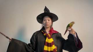 The magician, accompanied by a parrot, used the Eastern Dragon to defeat the dark magician.