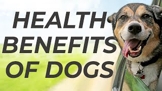 The Health Benefits of Dogs