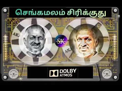 SENGAMALAM SIRIKUTHU / DHAVANI KANAVUGAL / ILAYARAJA / S.P.B - JANAKI / DOLBY ATMOS / USE 🎧🎧🎧