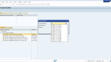 Tutorial SAP PTPN -   CJ20N TECO Project