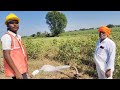 5 HP 70 M  , Pearl Enterprises (Madhuri Solar)