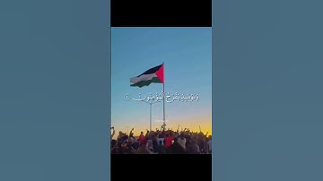 غزة حرة 🇵🇸💚. سورة الروم #غزة #فلسطين #حرة #قران_كريم #قرآن #quran #ياسر_الدوسري #تلاوة_خاشعة #islam