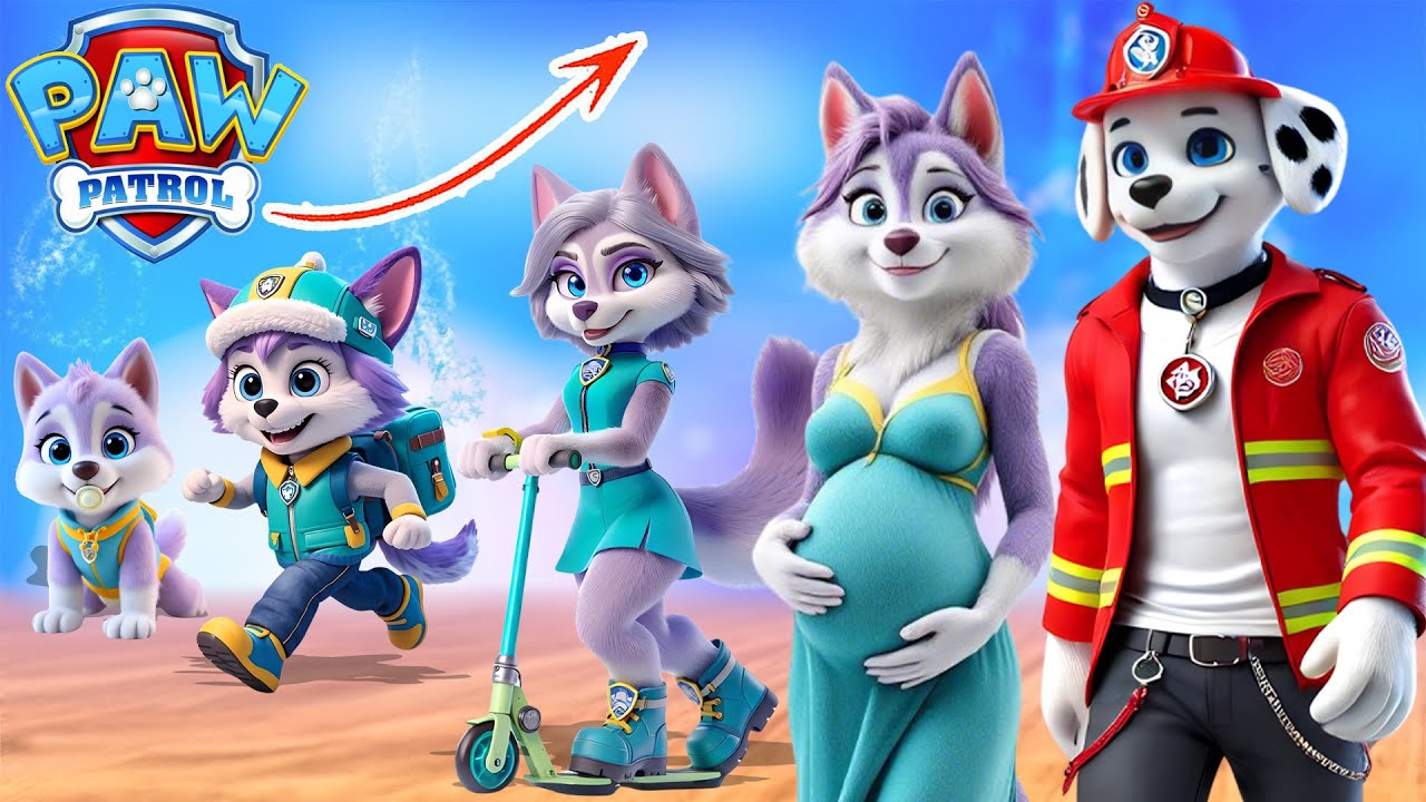 PAW Patrol Human 2025 Growing up Compilation | Sky Wow - YouTube
