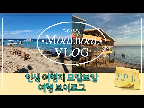 인생 여행지 세부 모알보알 EP 1 | 모알보알 자유여행 | 오슬롭 고래상어 | 가와산캐녀닝 | 스노클링하고 다이빙하기
