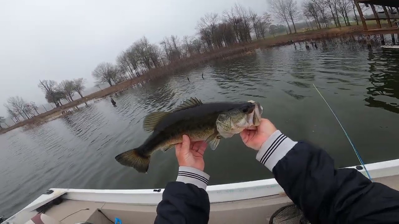 Giant Bass on Lake Fork with a Flyrod. @flyfishfork.com Please Subscribe.