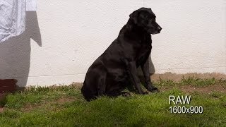 Canon 6D Raw - Magic Lantern Tests (Vs to H.264)