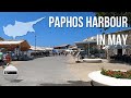 Paphos harbour walk  ocean basket is open