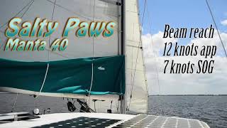 Topsides Salty Paws