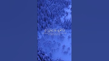يوم لا ينفع مالا ولا بنون | سورة الشعراء الآيات 87-94 الشيخ يوسف الصقير beautiful translated quran