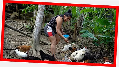 Miren los animales que tengo en mi GRANJA