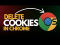 How to Delete Cookies &amp; Other Site Data in Google Chrome (Quick Guide!)