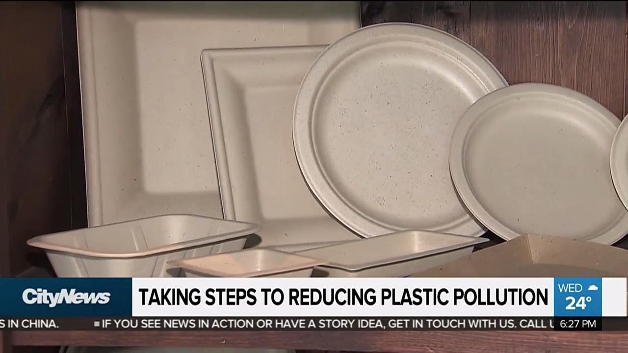 Taking steps to reduce plastic pollution - YouTube