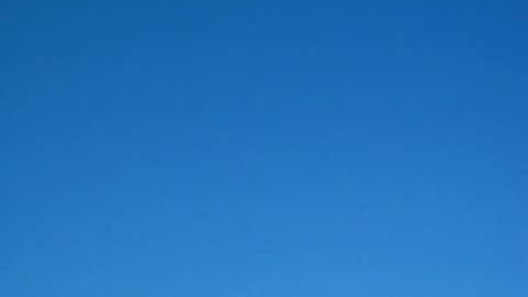 University of Florida Design/Build/Fly 2010 - AviGator