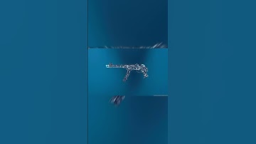 Best PPSH-41 Loadout in Warzone! 👑 | Best Class Setup |COD WARZONE