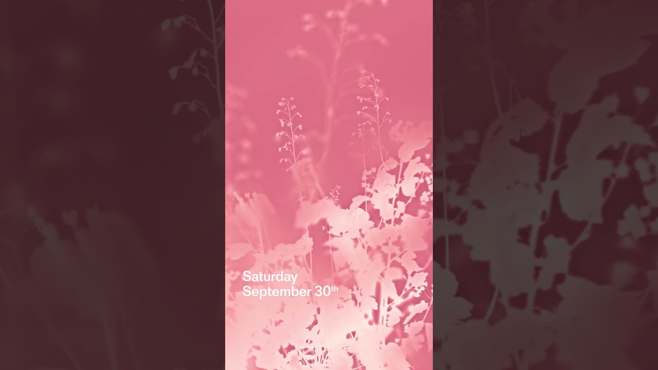 Hermès | Women's spring-summer 2024 show