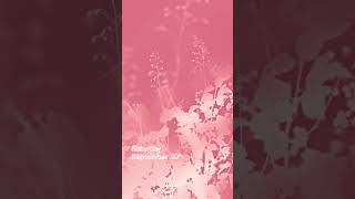 Hermès Womens Spring-Summer 2024 Show