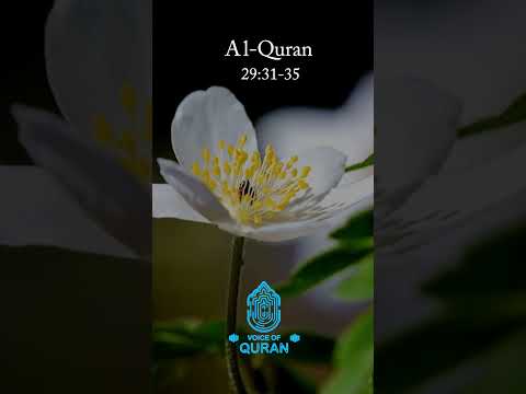 Surah Al-Ankabut 31-35 | Voice of Quran - Urdu