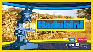 🔴#TBCLIVE: HADUBINI APRILI 11,2026 | SAA 2:00-3:00 USIKU