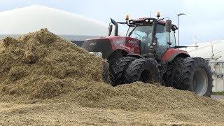Case IH 340 Magnum Goes FULL HAMMER in The BIG CORN STACK During Corn Harvest 2019 | DK Agri