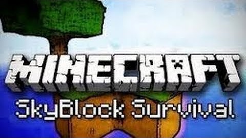 Minecraft SkyBlock with Panda Playz Part 1