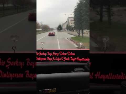 Saydırma beyinli Hido