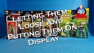 Letting Them Loose And Putting Them On Display