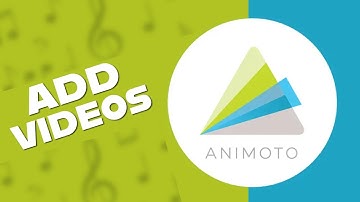 How to Add Videos in Animoto 2025?
