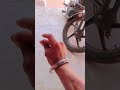 Bo Mhobat Hinnahi 2025 Bollywood Bo Mhobat Hinnahi 2025 Bollywood