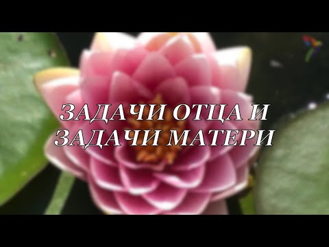 Задачи отца и задачи матери