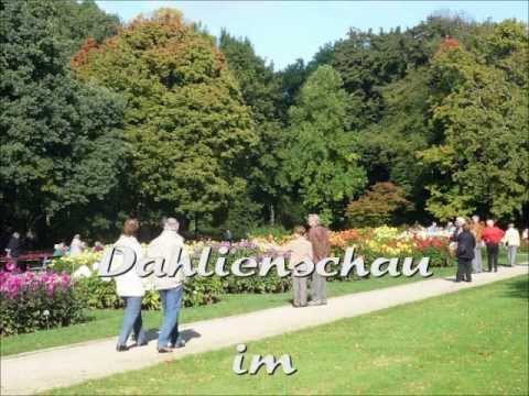 Dahlienschau Im Grossen Garten Dresden 2012 Youtube