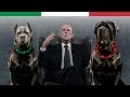 THE 10 ITALIAN DOG BREEDS の動画、YouTube動画。