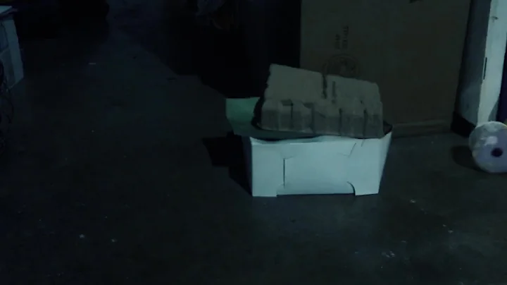 Leprechaun Caught on Camera St Patrick's Day 2021 Security Footage Mystical Sighting on Film