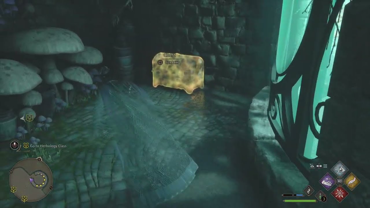 Opening an eye chest (Herbology) - Hogwarts Legacy