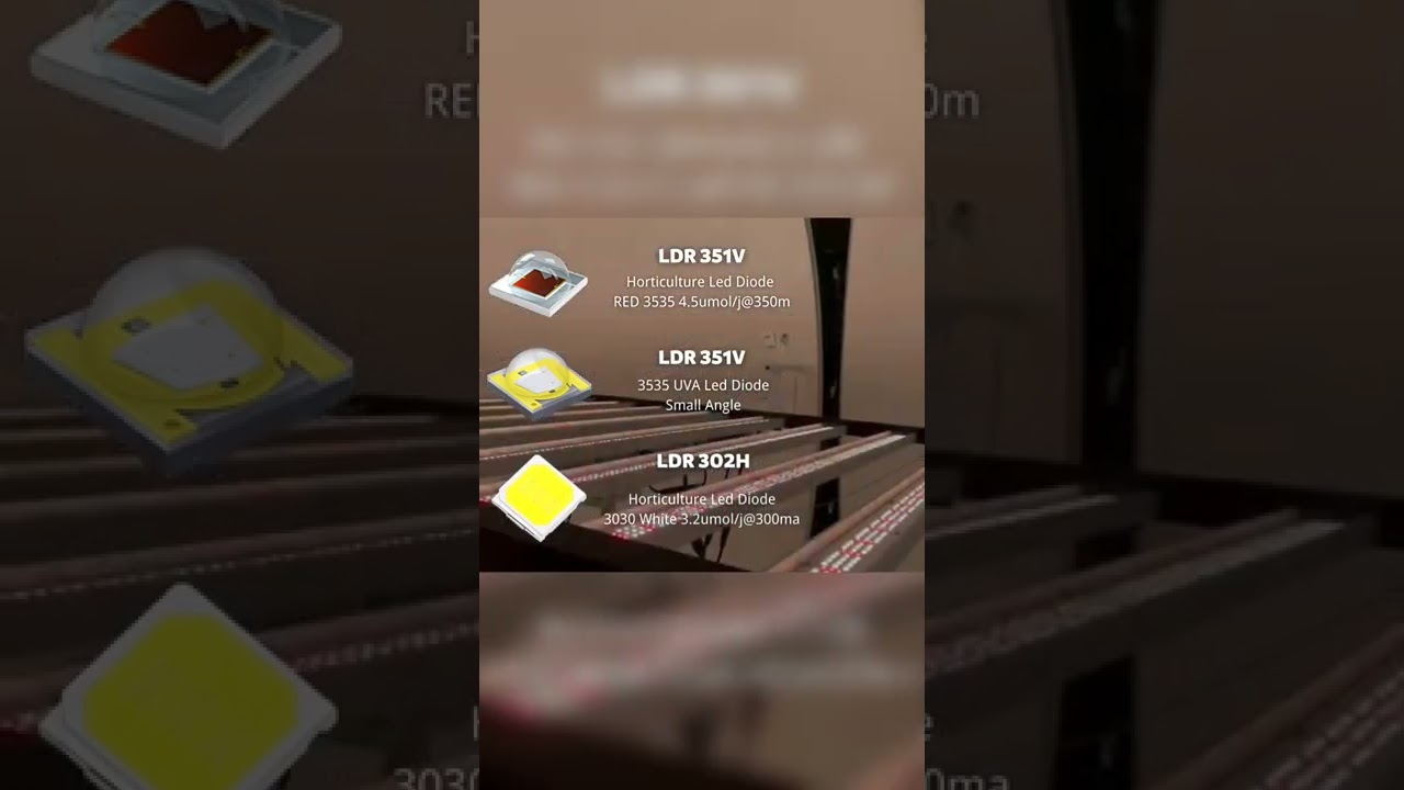 LED 3535 & LED 3030 horticulture led lighting diode|SMD LED 