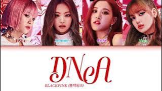 How Would BLACKPINK Sing ‘DNA’ by BTS (Color Coded Lyrics Eng/Rom/Han)