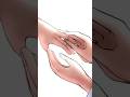 #葬送のフリーレン#フリーレン#ヒンメル#もう付き合っちゃえよ