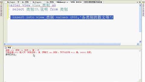 32 SQL Server 2008 视频教程  使用视图更改数据