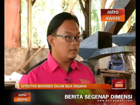 Video: Adakah Terdapat Eko-bio Organik Di Bandar Besar?