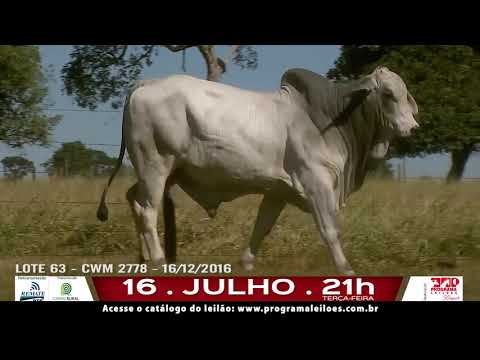 LOTE 063