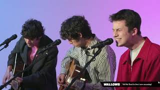 hard to believe - wallows (rolling stone twitch acoustic performance)